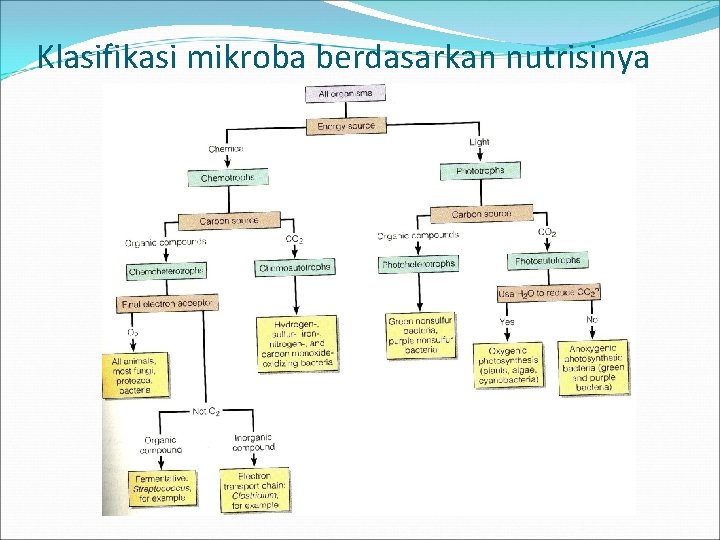 Klasifikasi mikroba berdasarkan nutrisinya 