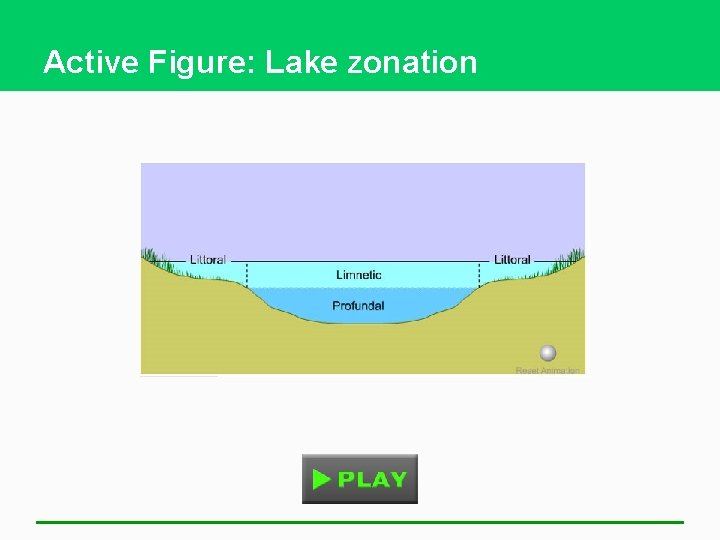 Active Figure: Lake zonation 