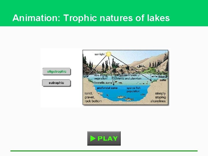 Animation: Trophic natures of lakes 