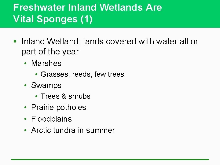 Freshwater Inland Wetlands Are Vital Sponges (1) § Inland Wetland: lands covered with water