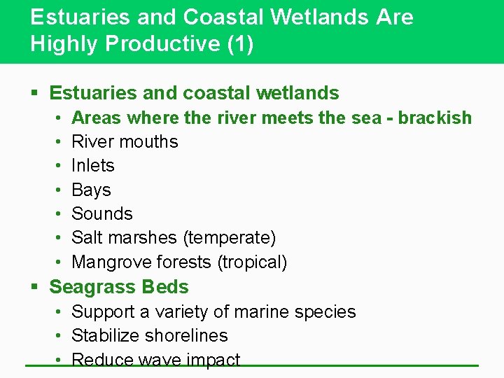 Estuaries and Coastal Wetlands Are Highly Productive (1) § Estuaries and coastal wetlands •