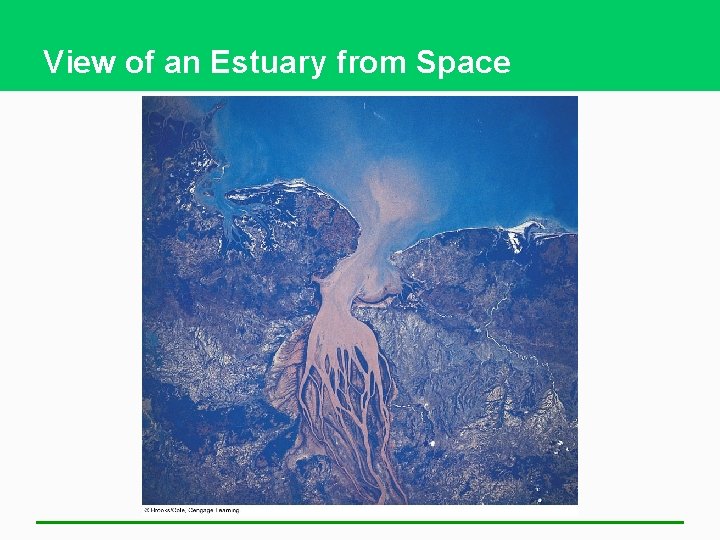 View of an Estuary from Space 