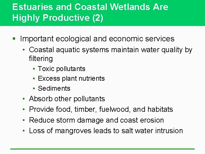 Estuaries and Coastal Wetlands Are Highly Productive (2) § Important ecological and economic services