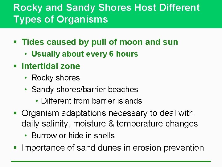 Rocky and Sandy Shores Host Different Types of Organisms § Tides caused by pull