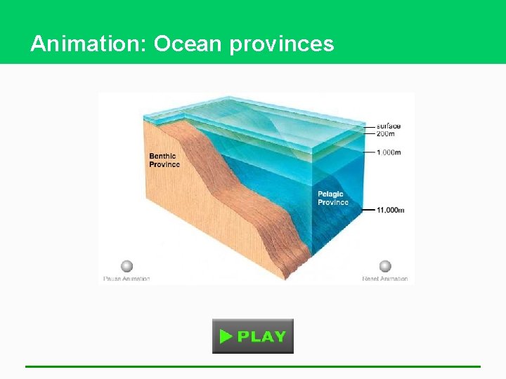 Animation: Ocean provinces 