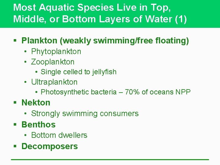 Most Aquatic Species Live in Top, Middle, or Bottom Layers of Water (1) §