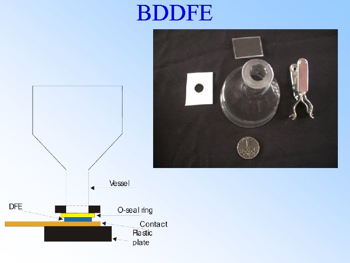 BDDFE 