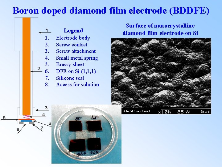 Boron doped diamond film electrode (BDDFE) Legend 1. 2. 3. 4. 5. 6. 7.