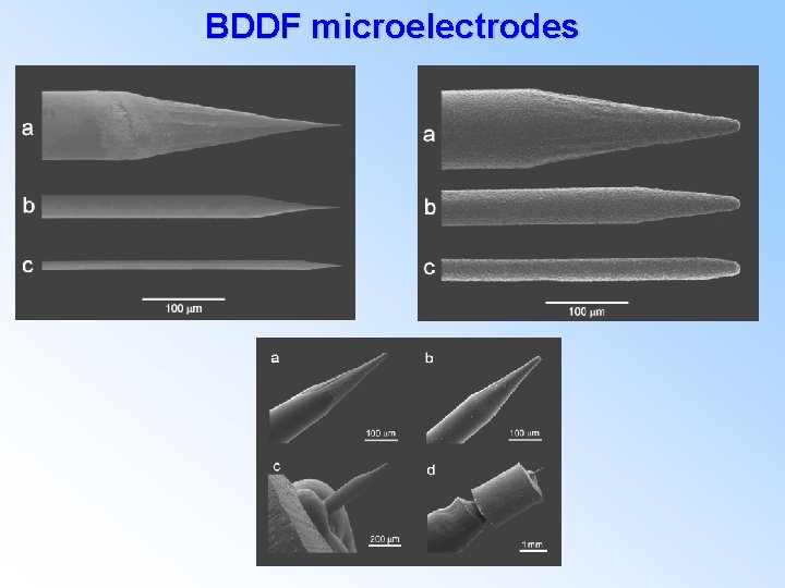 BDDF microelectrodes 