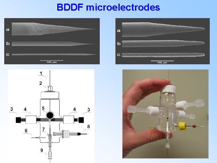 BDDF microelectrodes 