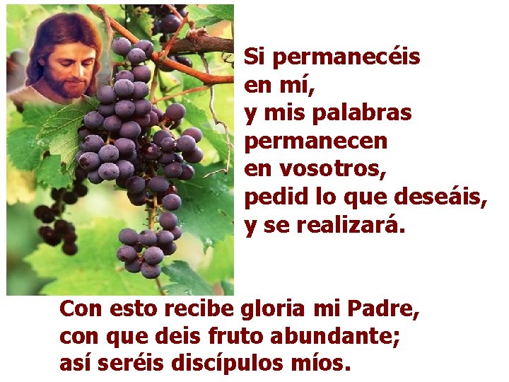 Si permanecéis en mí, y mis palabras permanecen en vosotros, pedid lo que deseáis,