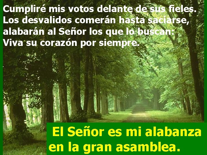 Cumpliré mis votos delante de sus fieles. Los desvalidos comerán hasta saciarse, alabarán al