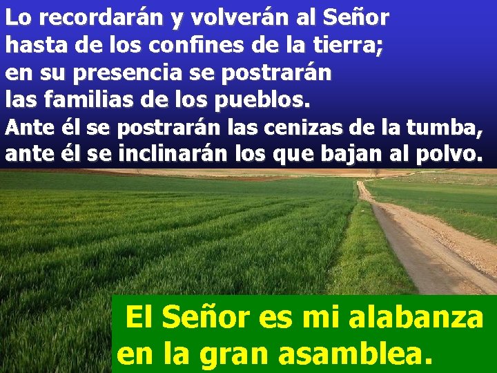 Lo recordarán y volverán al Señor hasta de los confines de la tierra; en