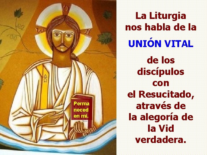 La Liturgia nos habla de la UNIÓN VITAL Perma neced en mi. de los