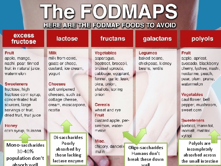 Mono-saccharides 30 -40% population don’t Di-saccharides Poorly absorbed by those lacking lactase enzyme evelynd.