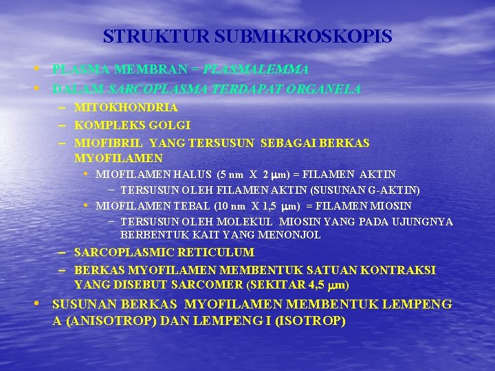 STRUKTUR SUBMIKROSKOPIS • PLASMA MEMBRAN = PLASMALEMMA • DALAM SARCOPLASMA TERDAPAT ORGANELA – MITOKHONDRIA STRUKTUR SUBMIKROSKOPIS • PLASMA MEMBRAN = PLASMALEMMA • DALAM SARCOPLASMA TERDAPAT ORGANELA – MITOKHONDRIA