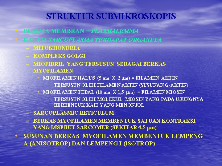 STRUKTUR SUBMIKROSKOPIS • PLASMA MEMBRAN = PLASMALEMMA • DALAM SARCOPLASMA TERDAPAT ORGANELA – MITOKHONDRIA