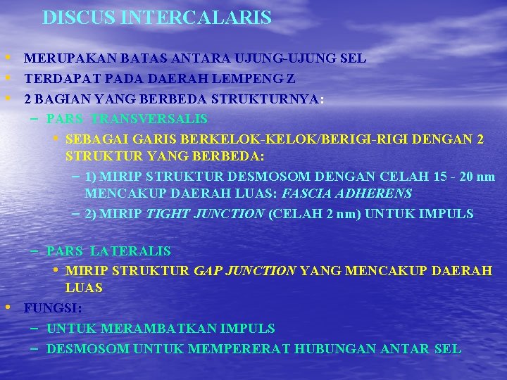 DISCUS INTERCALARIS • MERUPAKAN BATAS ANTARA UJUNG-UJUNG SEL • TERDAPAT PADA DAERAH LEMPENG Z DISCUS INTERCALARIS • MERUPAKAN BATAS ANTARA UJUNG-UJUNG SEL • TERDAPAT PADA DAERAH LEMPENG Z