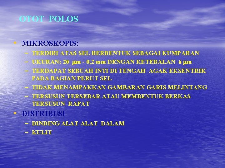 OTOT POLOS • MIKROSKOPIS: – TERDIRI ATAS SEL BERBENTUK SEBAGAI KUMPARAN – UKURAN: 20 OTOT POLOS • MIKROSKOPIS: – TERDIRI ATAS SEL BERBENTUK SEBAGAI KUMPARAN – UKURAN: 20