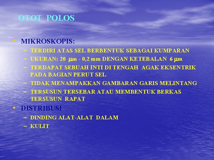 OTOT POLOS • MIKROSKOPIS: – TERDIRI ATAS SEL BERBENTUK SEBAGAI KUMPARAN – UKURAN: 20