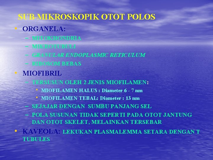 SUB-MIKROSKOPIK OTOT POLOS • ORGANELA: – – MITOKHONDRIA MIKROTUBULI GRANULAR ENDOPLASMIC RETICULUM RIBOSOM BEBAS SUB-MIKROSKOPIK OTOT POLOS • ORGANELA: – – MITOKHONDRIA MIKROTUBULI GRANULAR ENDOPLASMIC RETICULUM RIBOSOM BEBAS