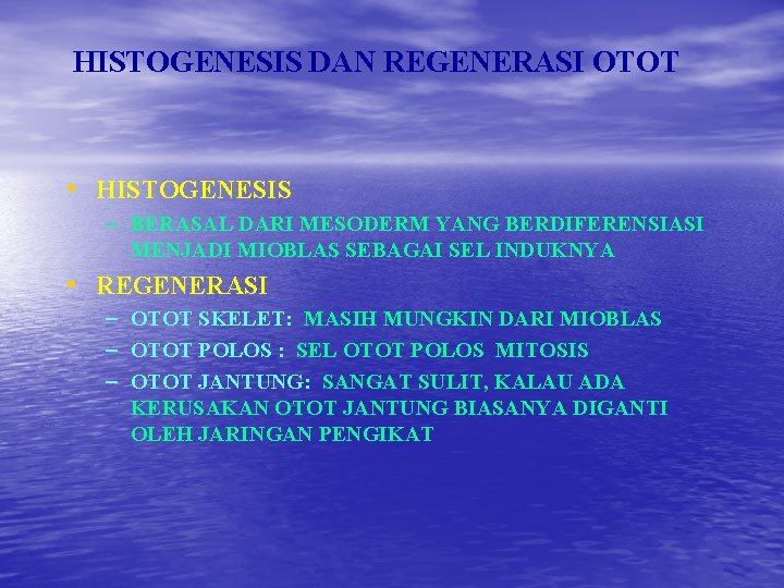 HISTOGENESIS DAN REGENERASI OTOT • HISTOGENESIS – BERASAL DARI MESODERM YANG BERDIFERENSIASI MENJADI MIOBLAS HISTOGENESIS DAN REGENERASI OTOT • HISTOGENESIS – BERASAL DARI MESODERM YANG BERDIFERENSIASI MENJADI MIOBLAS