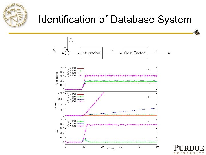 Identification of Database System 