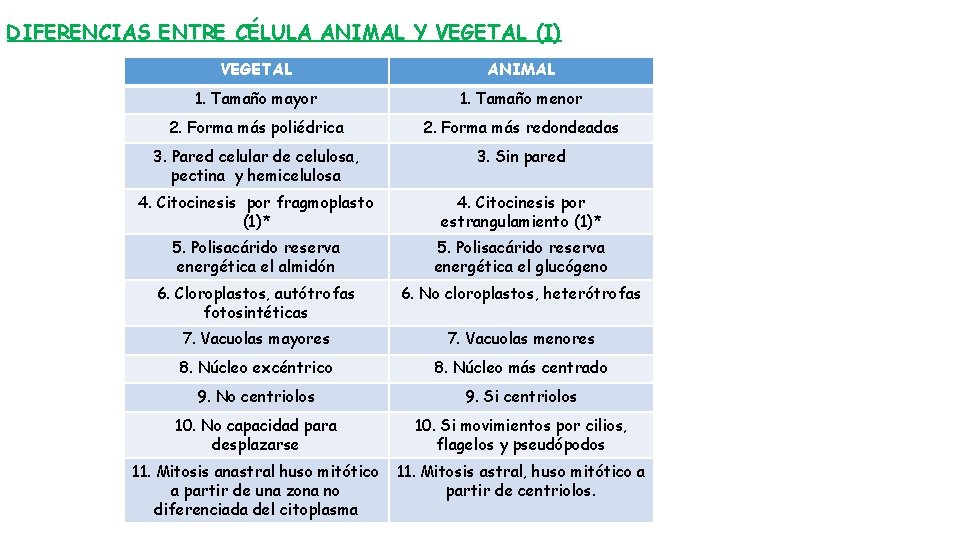 DIFERENCIAS ENTRE CÉLULA ANIMAL Y VEGETAL (I) VEGETAL ANIMAL 1. Tamaño mayor 1. Tamaño