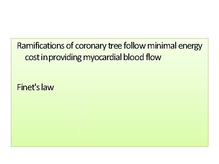 Ramifications of coronary tree follow minimal energy cost in providing myocardial blood flow Finet's