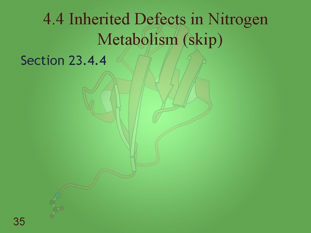 4. 4 Inherited Defects in Nitrogen Metabolism (skip) Section 23. 4. 4 35 