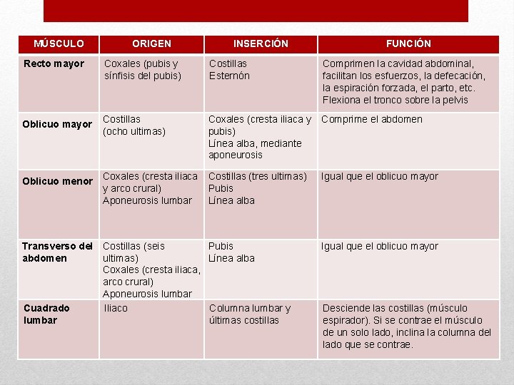 MÚSCULO ORIGEN INSERCIÓN FUNCIÓN Recto mayor Coxales (pubis y sínfisis del pubis) Costillas Esternón
