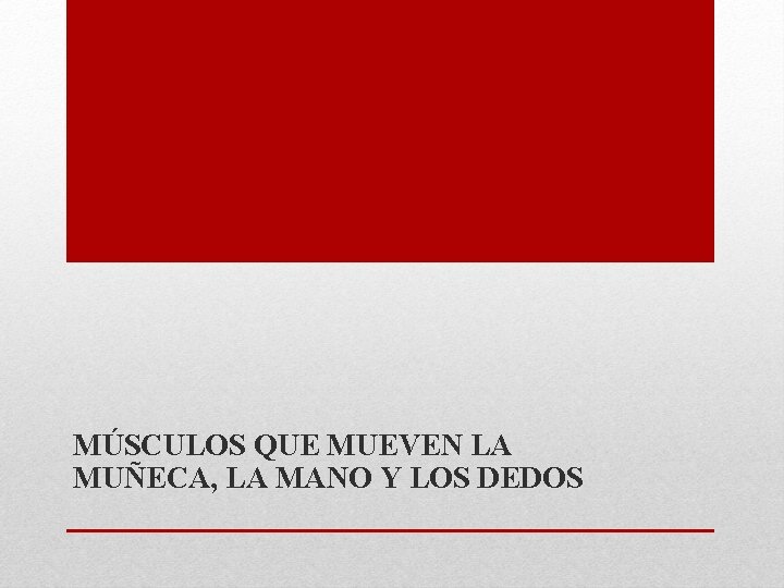 MÚSCULOS QUE MUEVEN LA MUÑECA, LA MANO Y LOS DEDOS 