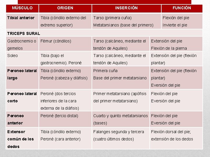 MÚSCULO Tibial anterior ORIGEN INSERCIÓN FUNCIÓN Tibia (cóndilo externo del Tarso (primera cuña) Flexión