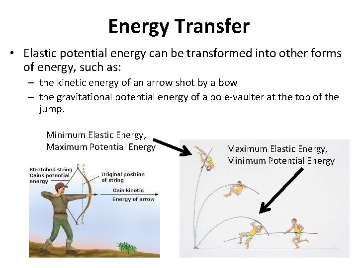 Energy Transfer • Elastic potential energy can be transformed into other forms of energy,