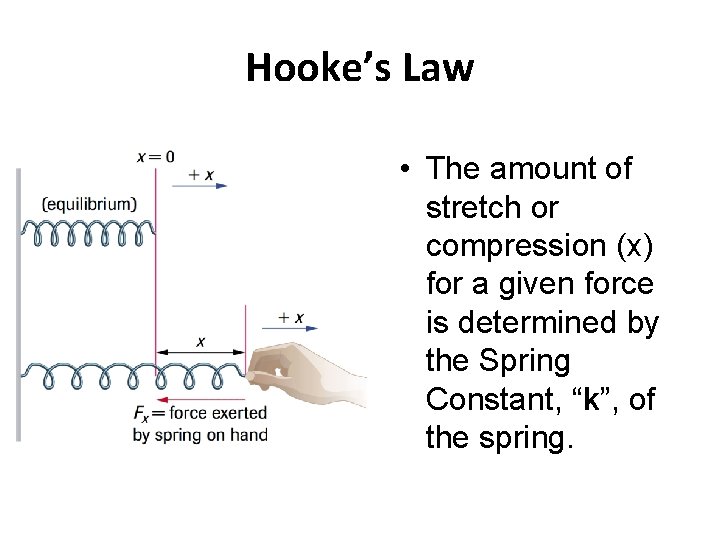 Hooke’s Law • The amount of stretch or compression (x) for a given force