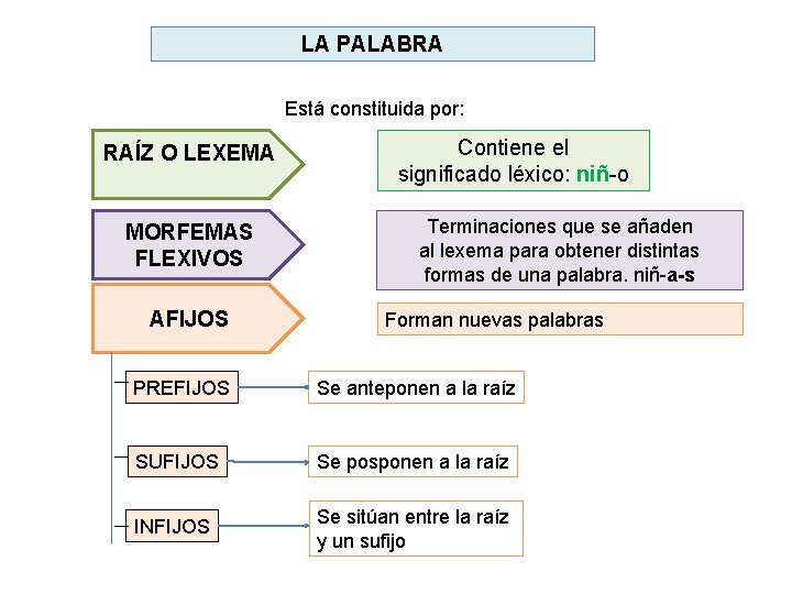 LA PALABRA Está constituida por: RAÍZ O LEXEMA MORFEMAS FLEXIVOS AFIJOS Contiene el significado