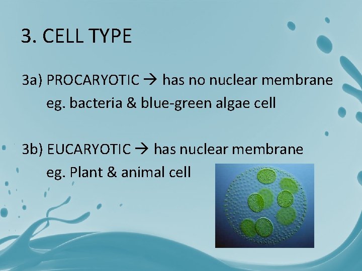 THE CELL Leonardus S Si TUJUAN PEMBELAJARAN Siswa