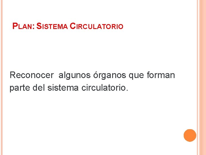 PLAN: SISTEMA CIRCULATORIO Reconocer algunos órganos que forman parte del sistema circulatorio. 