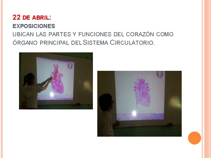 22 DE ABRIL: EXPOSICIONES UBICAN LAS PARTES Y FUNCIONES DEL CORAZÓN COMO ÓRGANO PRINCIPAL
