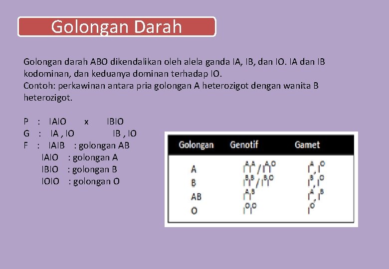 Golongan Darah Golongan darah ABO dikendalikan oleh alela ganda IA, IB, dan IO. IA