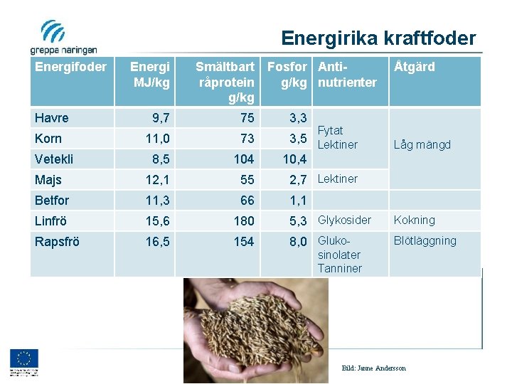 Energirika kraftfoder Energi MJ/kg Smältbart Fosfor Antiråprotein g/kg nutrienter g/kg Havre 9, 7 75