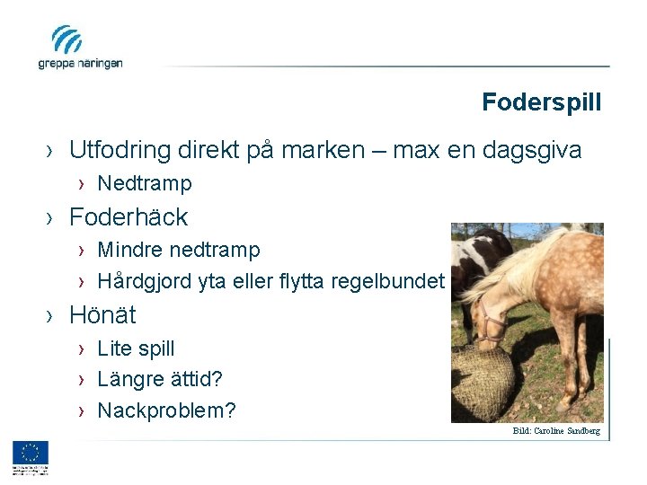 Foderspill › Utfodring direkt på marken – max en dagsgiva › Nedtramp › Foderhäck