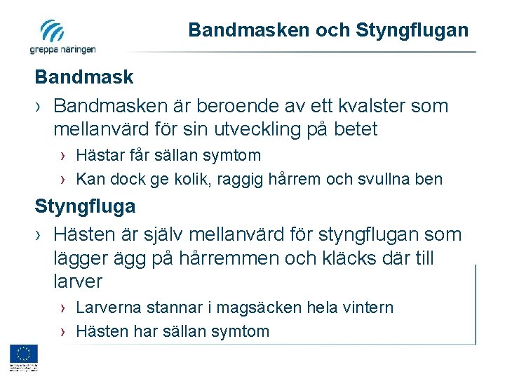 Bandmasken och Styngflugan Bandmask › Bandmasken är beroende av ett kvalster som mellanvärd för