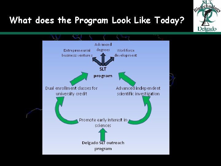 What does the Program Look Like Today? 