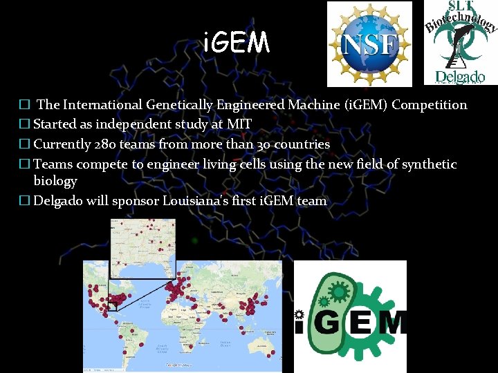 i. GEM � The International Genetically Engineered Machine (i. GEM) Competition � Started as