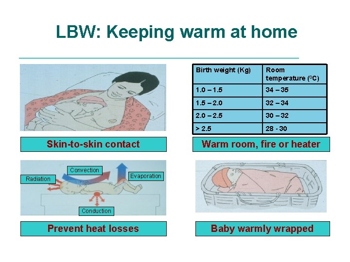 LBW: Keeping warm at home Skin-to-skin contact Convection Radiation Birth weight (Kg) Room temperature