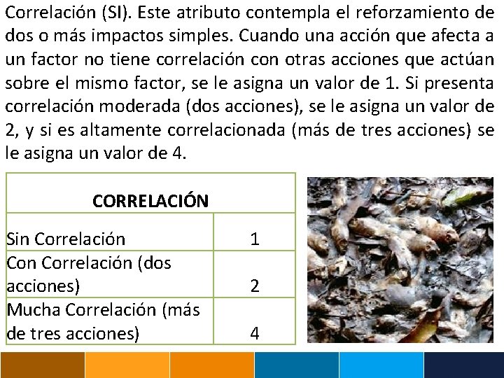 Correlación (SI). Este atributo contempla el reforzamiento de dos o más impactos simples. Cuando