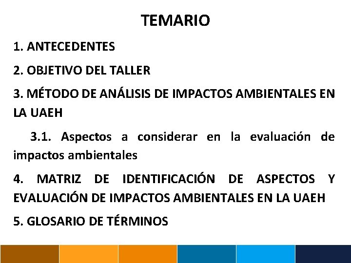 TEMARIO 1. ANTECEDENTES 2. OBJETIVO DEL TALLER 3. MÉTODO DE ANÁLISIS DE IMPACTOS AMBIENTALES