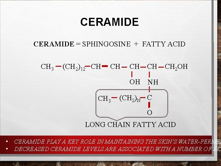 CERAMIDE = SPHINGOSINE + FATTY ACID CH 3 (CH 2)12 CH CH CH 3 CERAMIDE = SPHINGOSINE + FATTY ACID CH 3 (CH 2)12 CH CH CH 3
