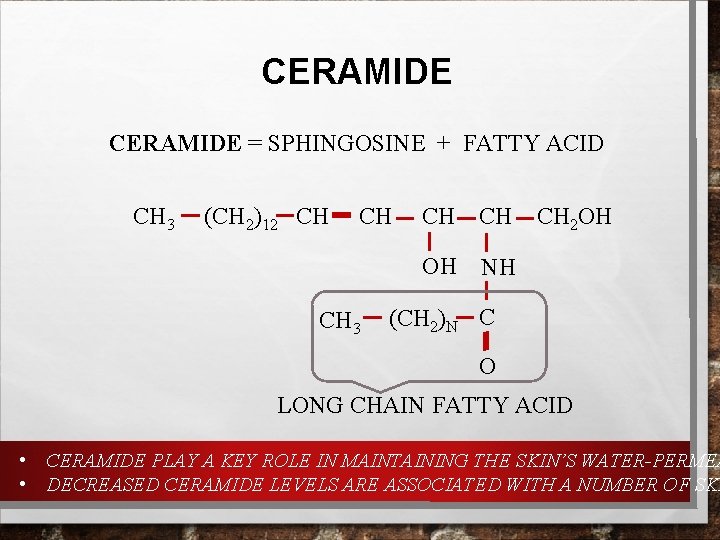 CERAMIDE = SPHINGOSINE + FATTY ACID CH 3 (CH 2)12 CH CH CH 3